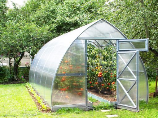 Greenhouses – Generally purchase good quality post thumbnail image