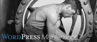 WordPress maintenance plans services offer the greatest program instruments post thumbnail image