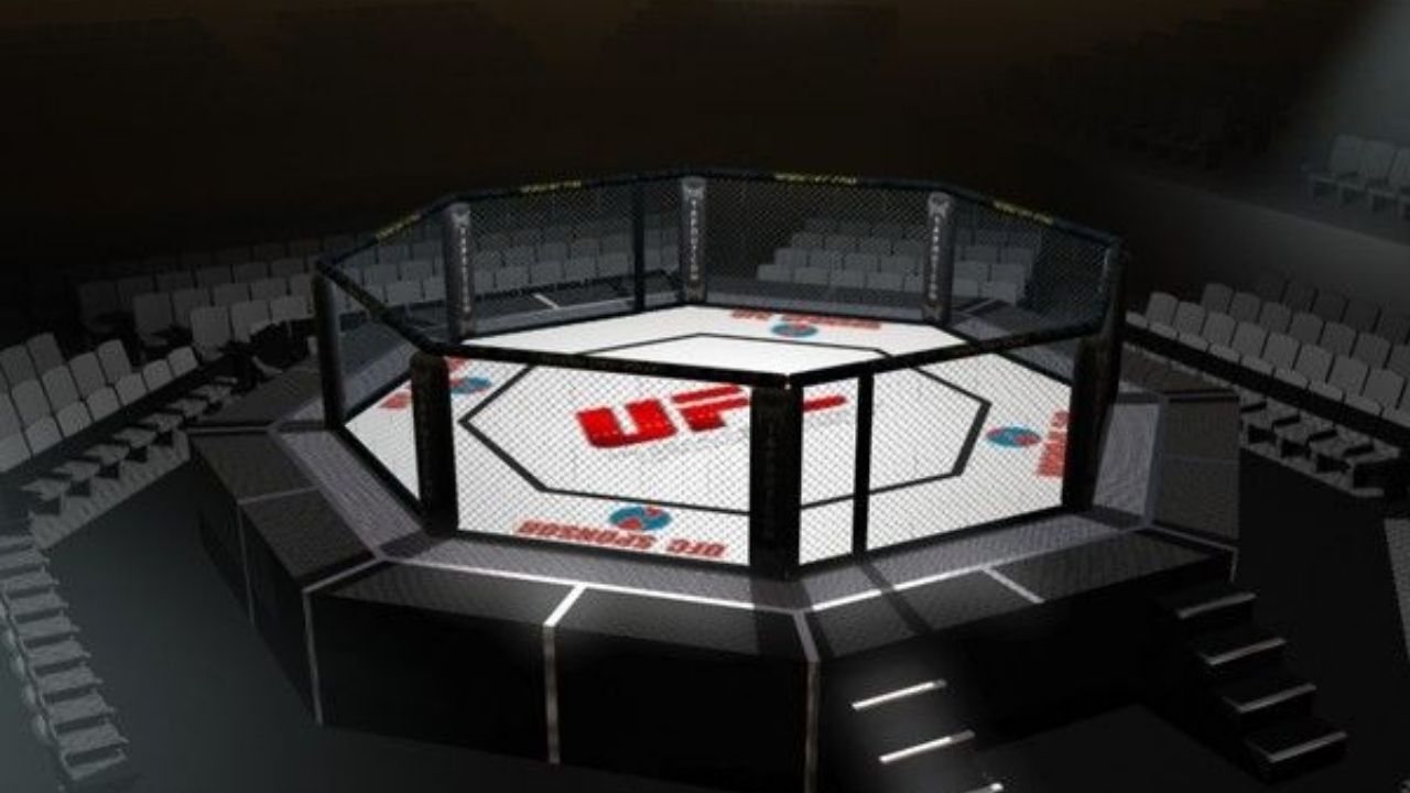 Keep Up-to-Date on Fights Through Reddit Mma streams post thumbnail image
