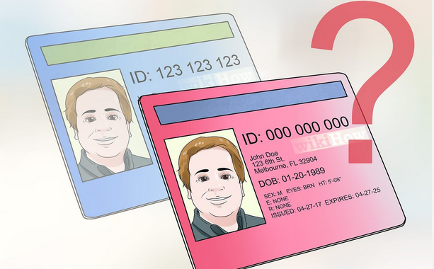 All of your current good friends should buy Fake ids at this time post thumbnail image