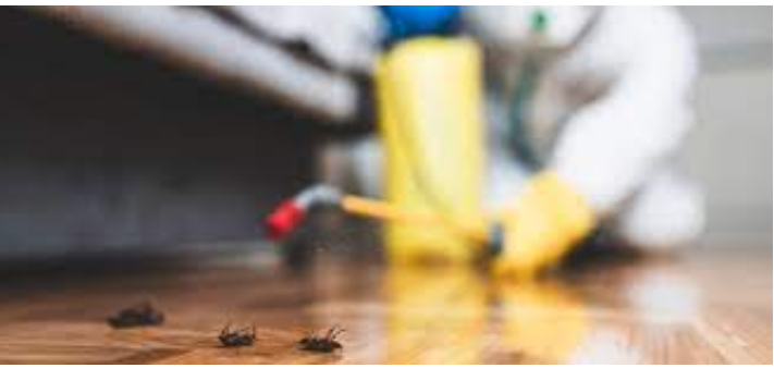 The Benefits of Skilled Pest Removal post thumbnail image