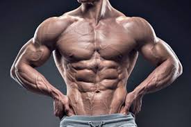 Demystifying Tren Steroids: A Comprehensive Information for Physical fitness Fanatics post thumbnail image