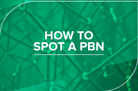 Crafting Authority: The Role of Highly Effective PBN Blog Posts in SEO post thumbnail image