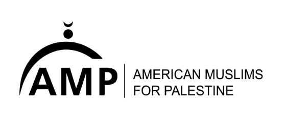 Compassionate Activism: American Muslims’ Fight for Palestine post thumbnail image